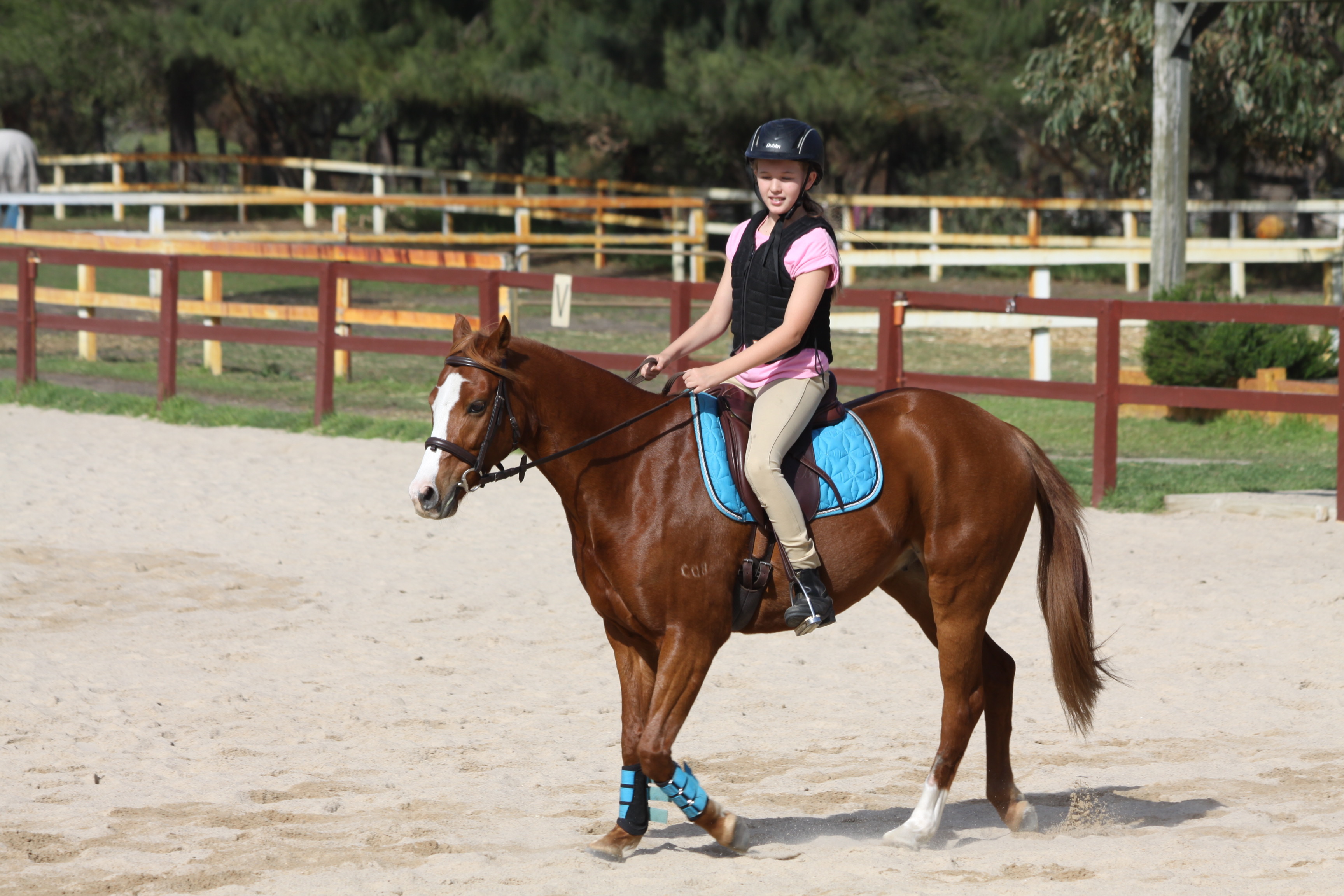 Imagem do fornecedor