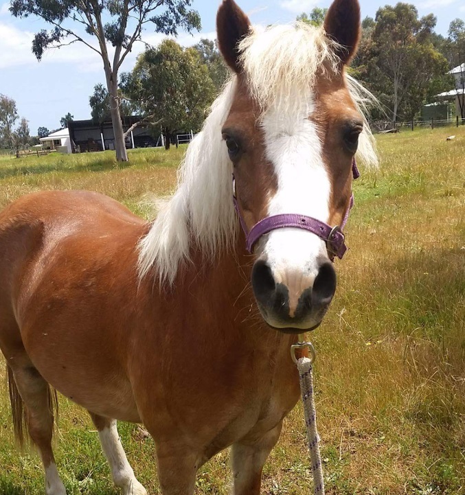 Imagem do fornecedor