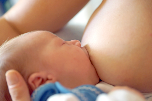 Imagem do fornecedor