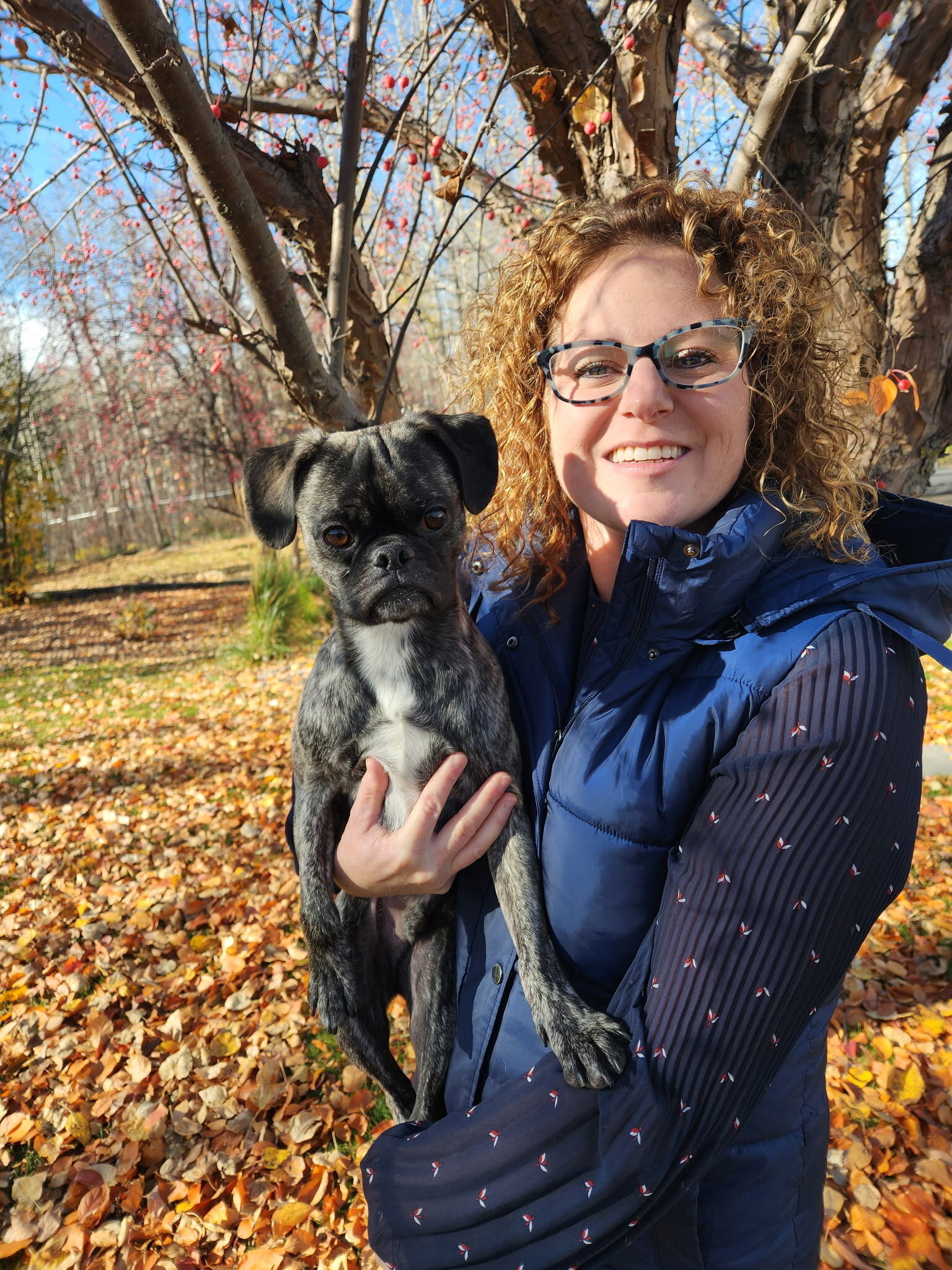 Imagem do fornecedor