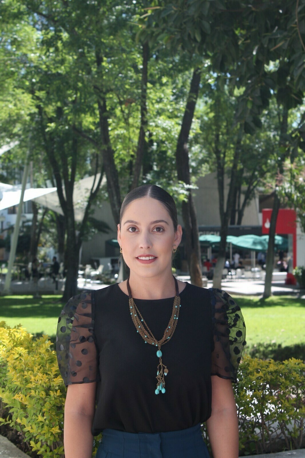 Imagem do fornecedor