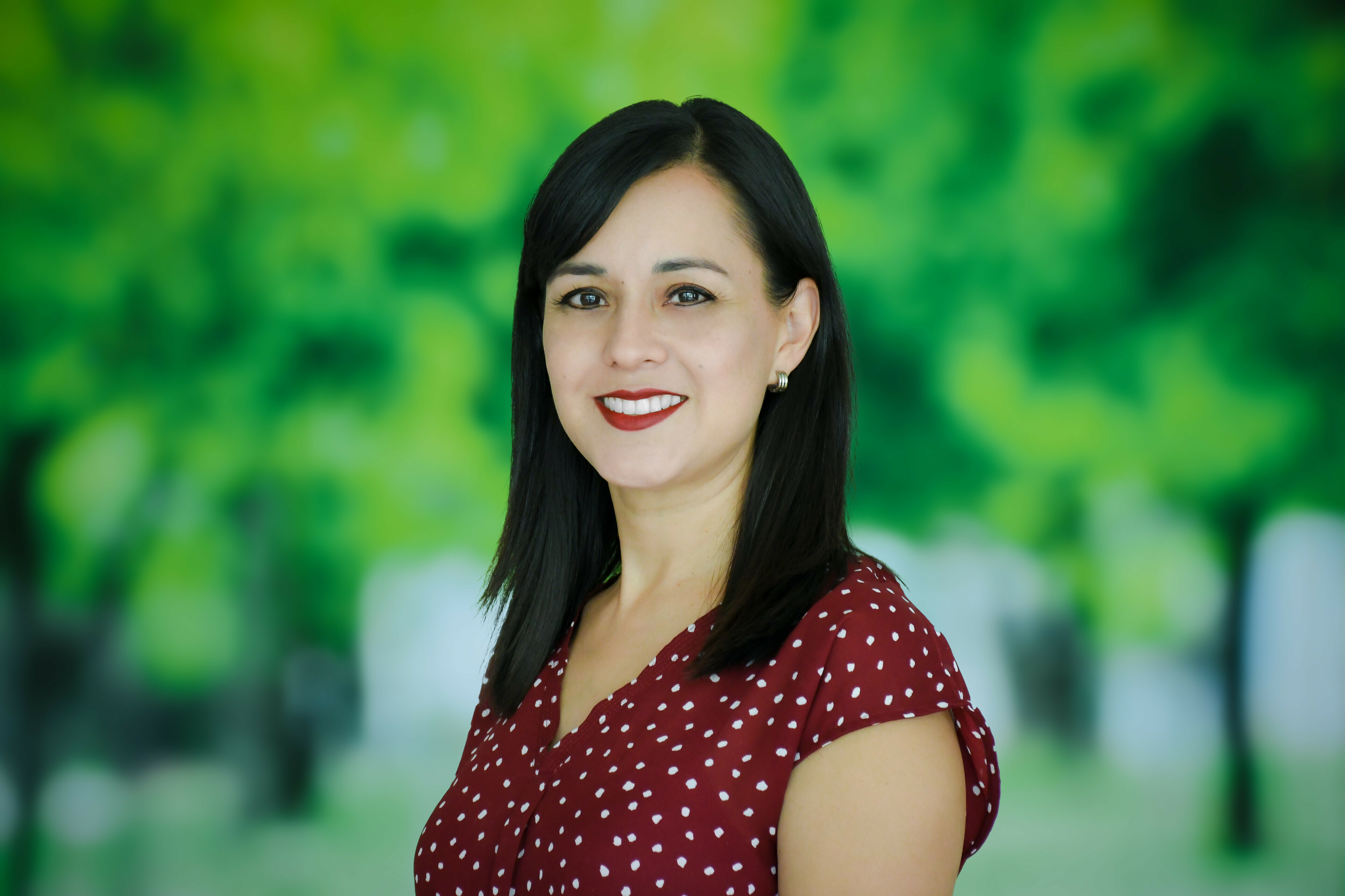 Imagem do fornecedor