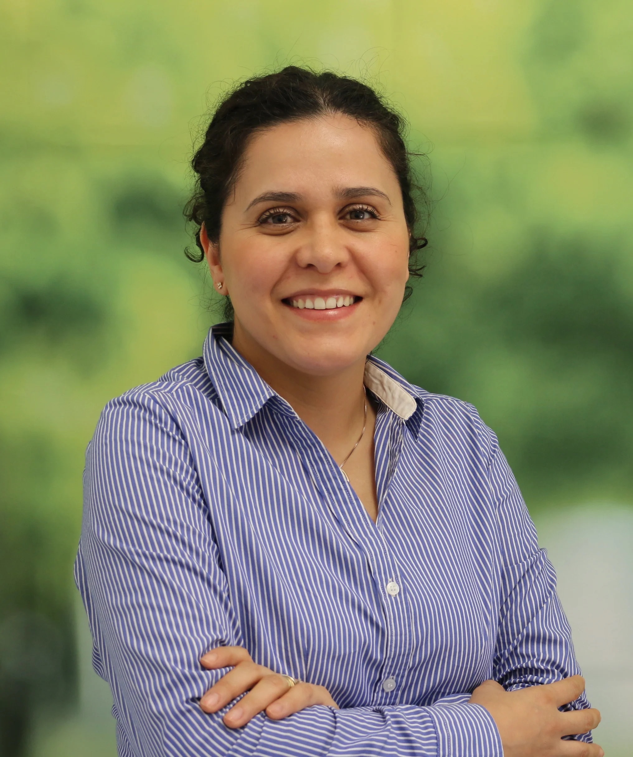 Imagem do fornecedor