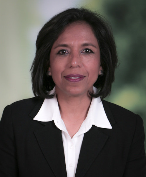 Imagem do fornecedor