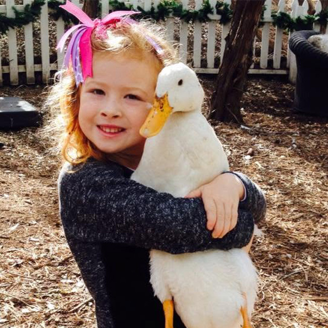 Imagem do serviço 