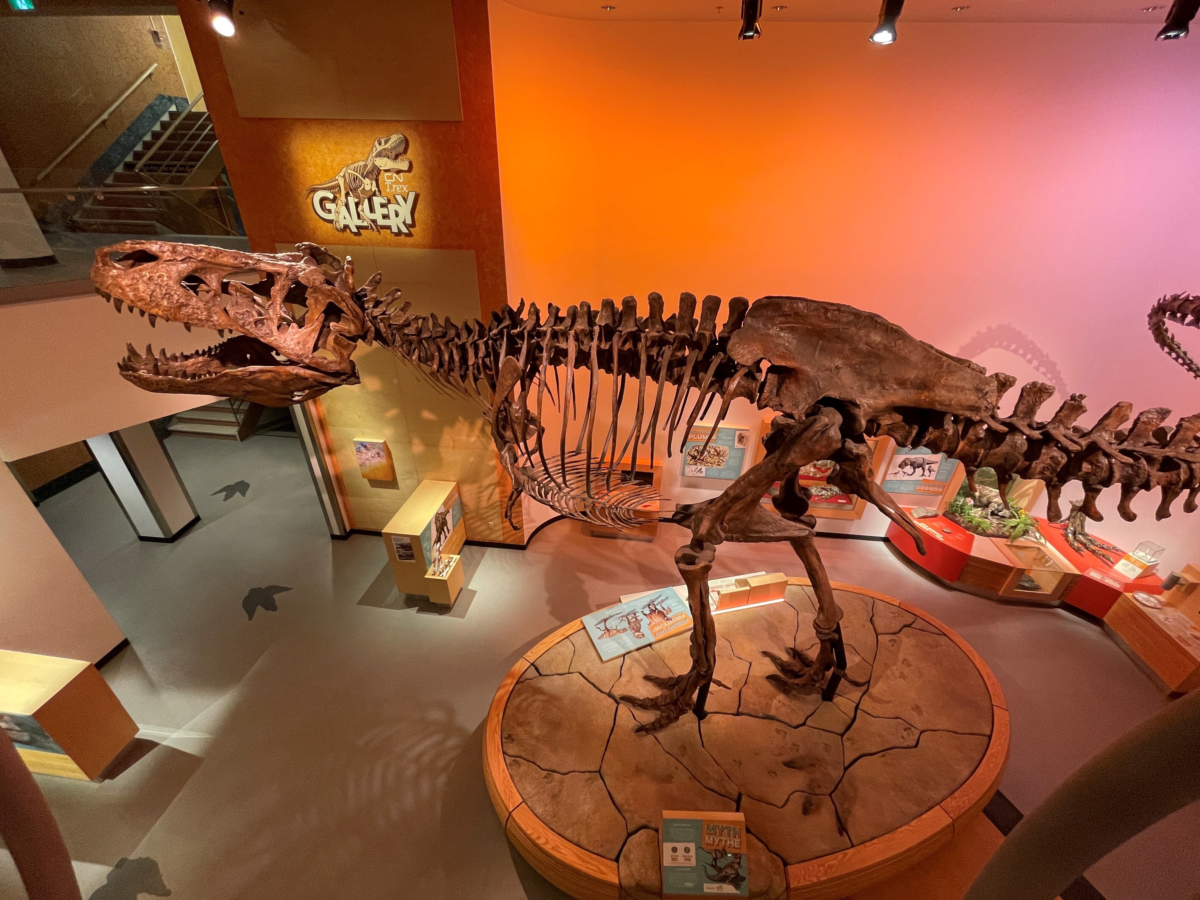 Imagem de apresentação da empresa