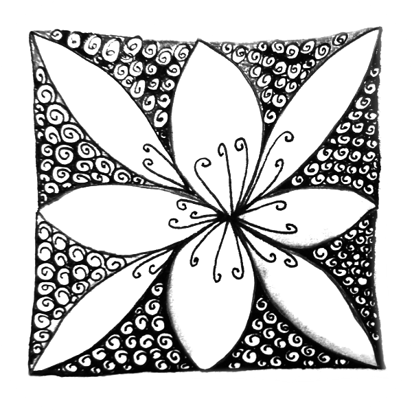 Provider image