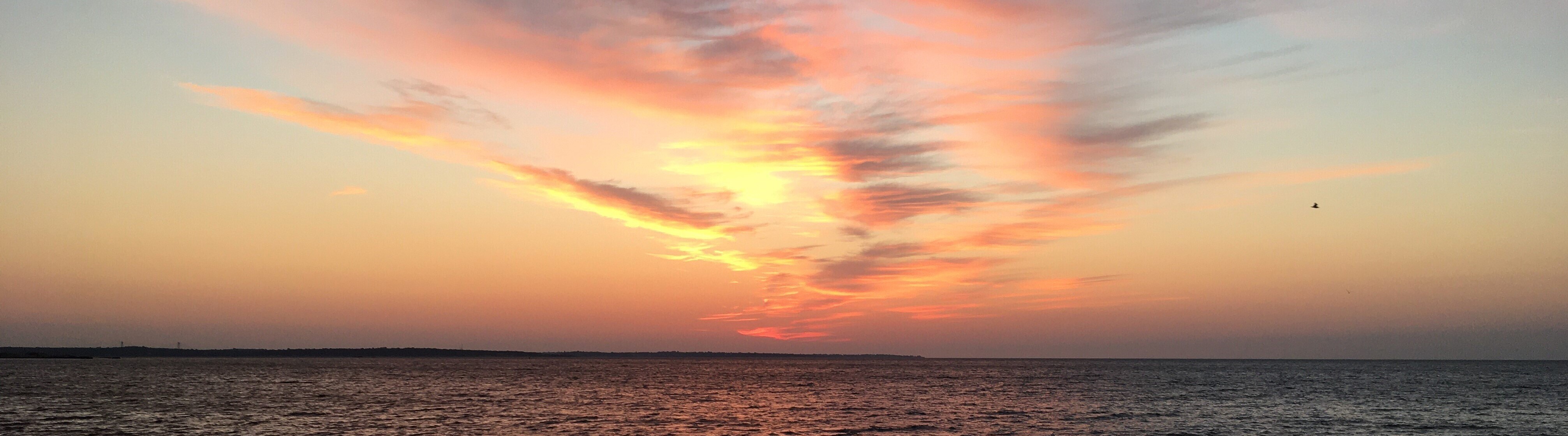 Imagem de apresentação da empresa