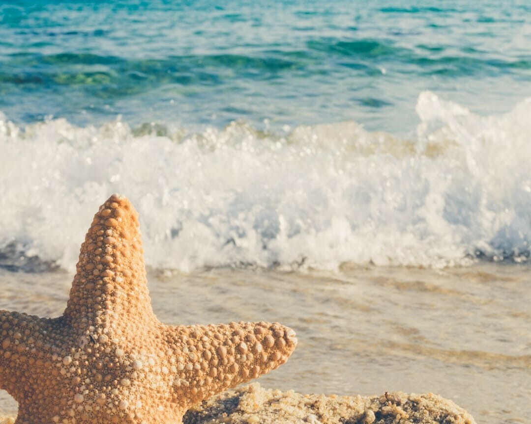 Imagem de apresentação da empresa