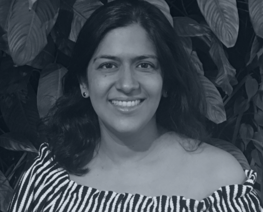 Imagem do fornecedor