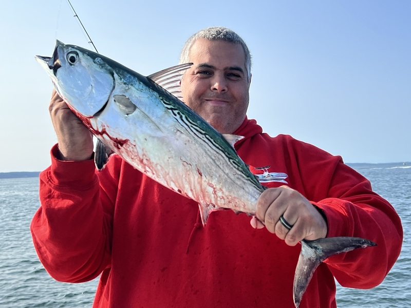 Imagem do fornecedor