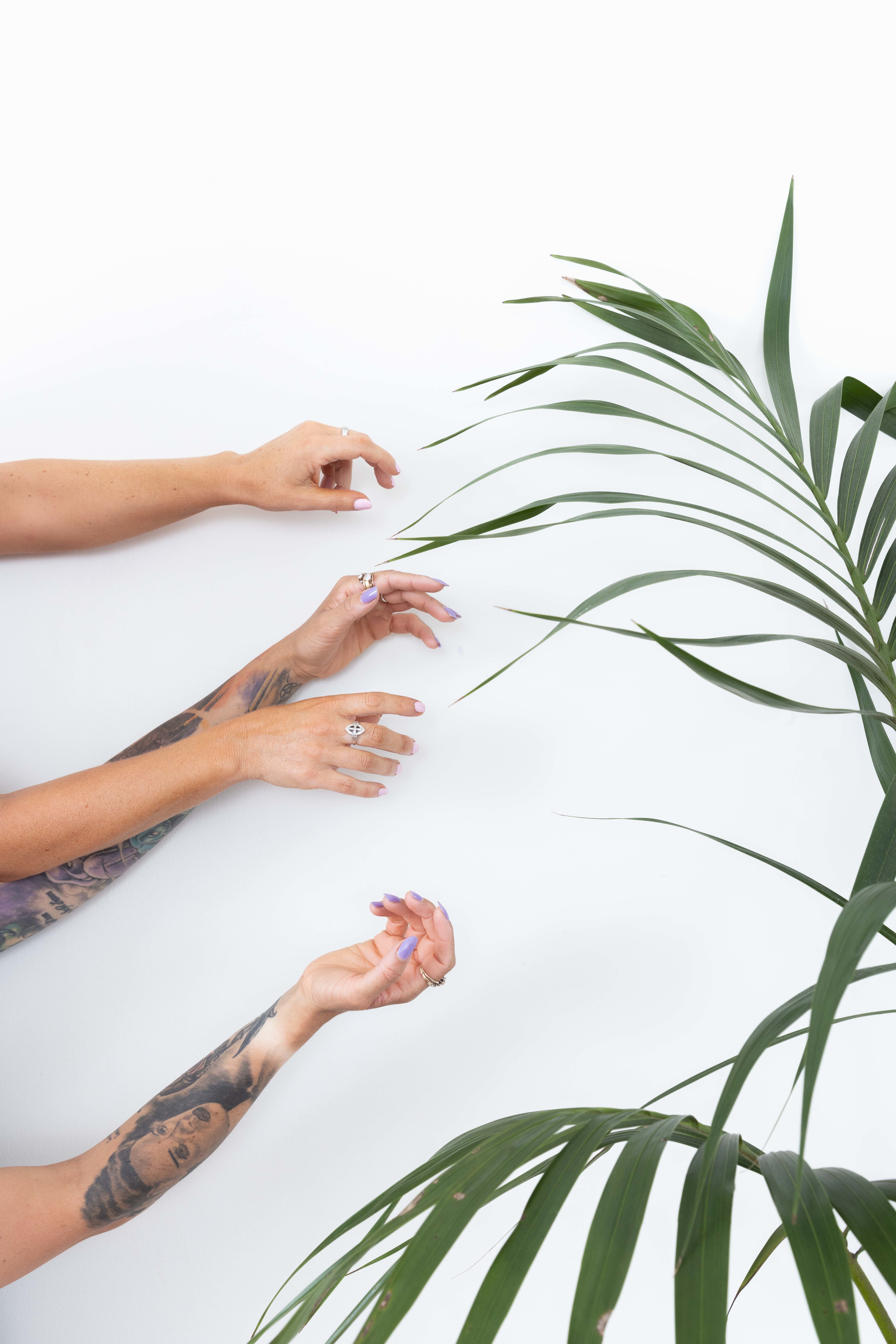 Imagem de apresentação da empresa