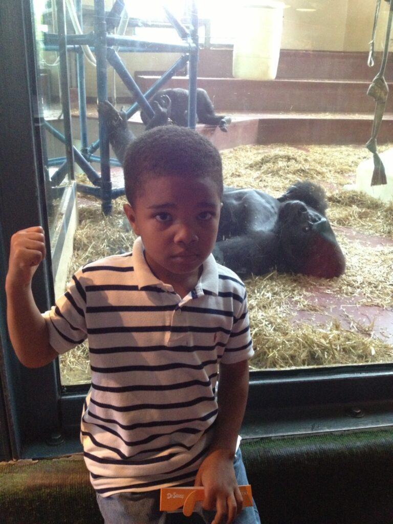 Imagem do fornecedor