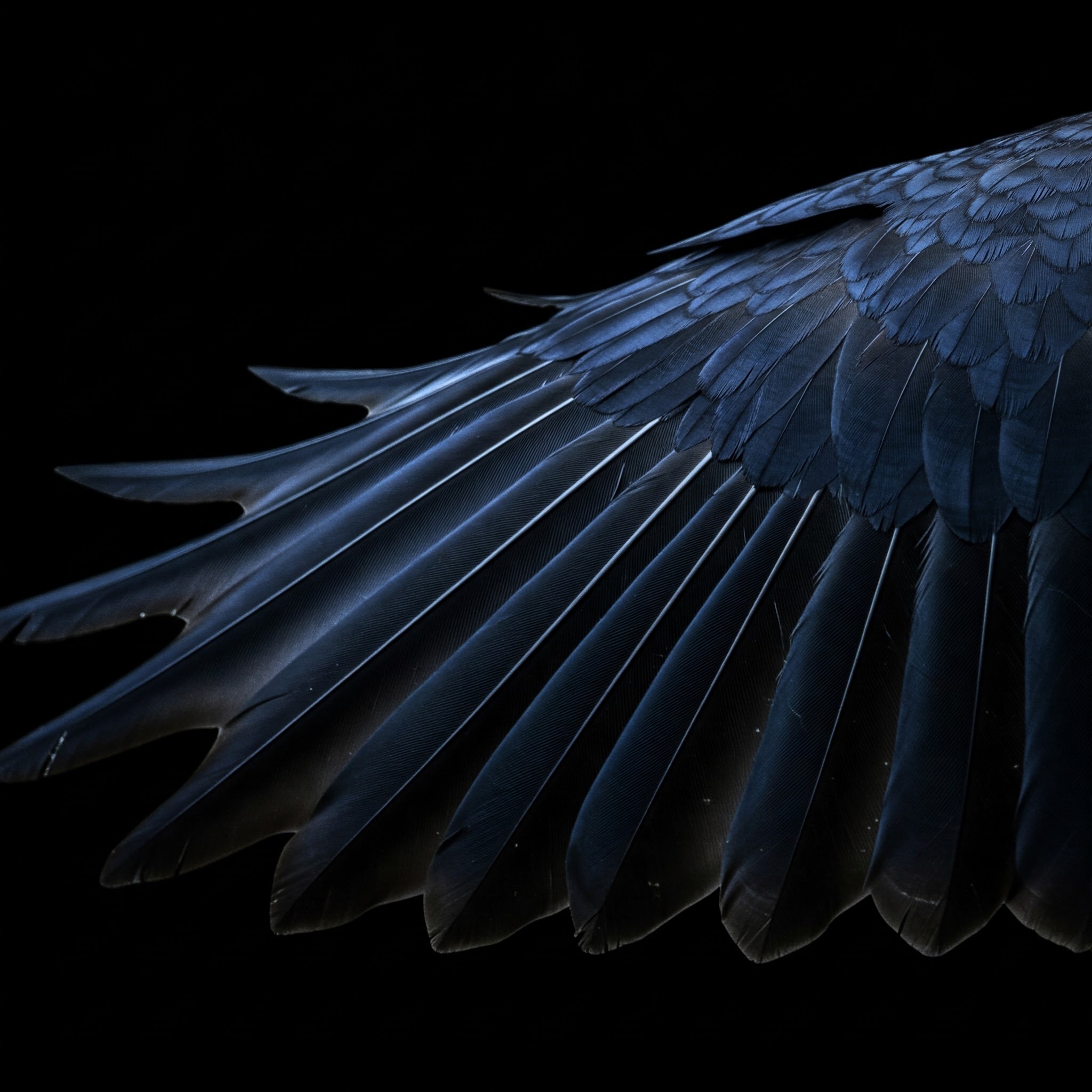 Imagem de apresentação da empresa