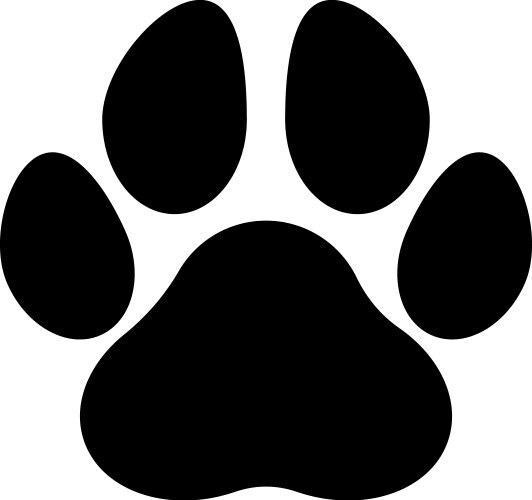 Provider image