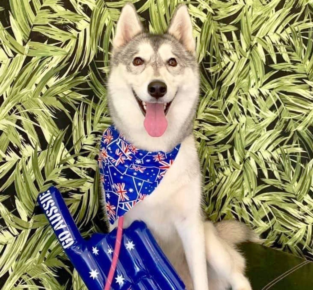 Imagem do fornecedor