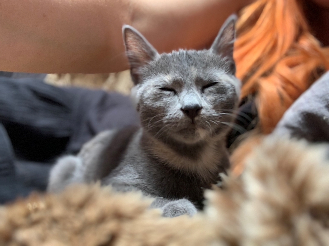 Imagem do fornecedor