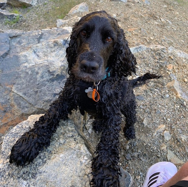 Imagem do fornecedor