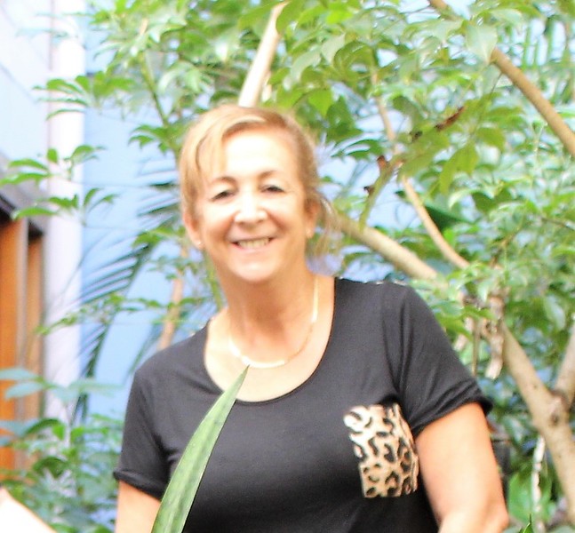 Imagem do fornecedor