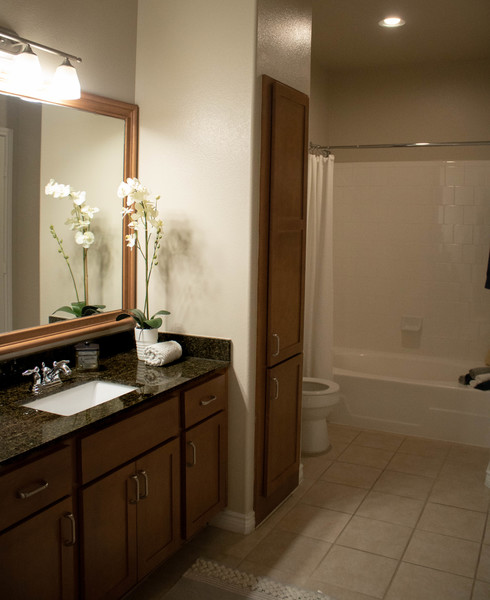 B3 Bluff Master Bathroom