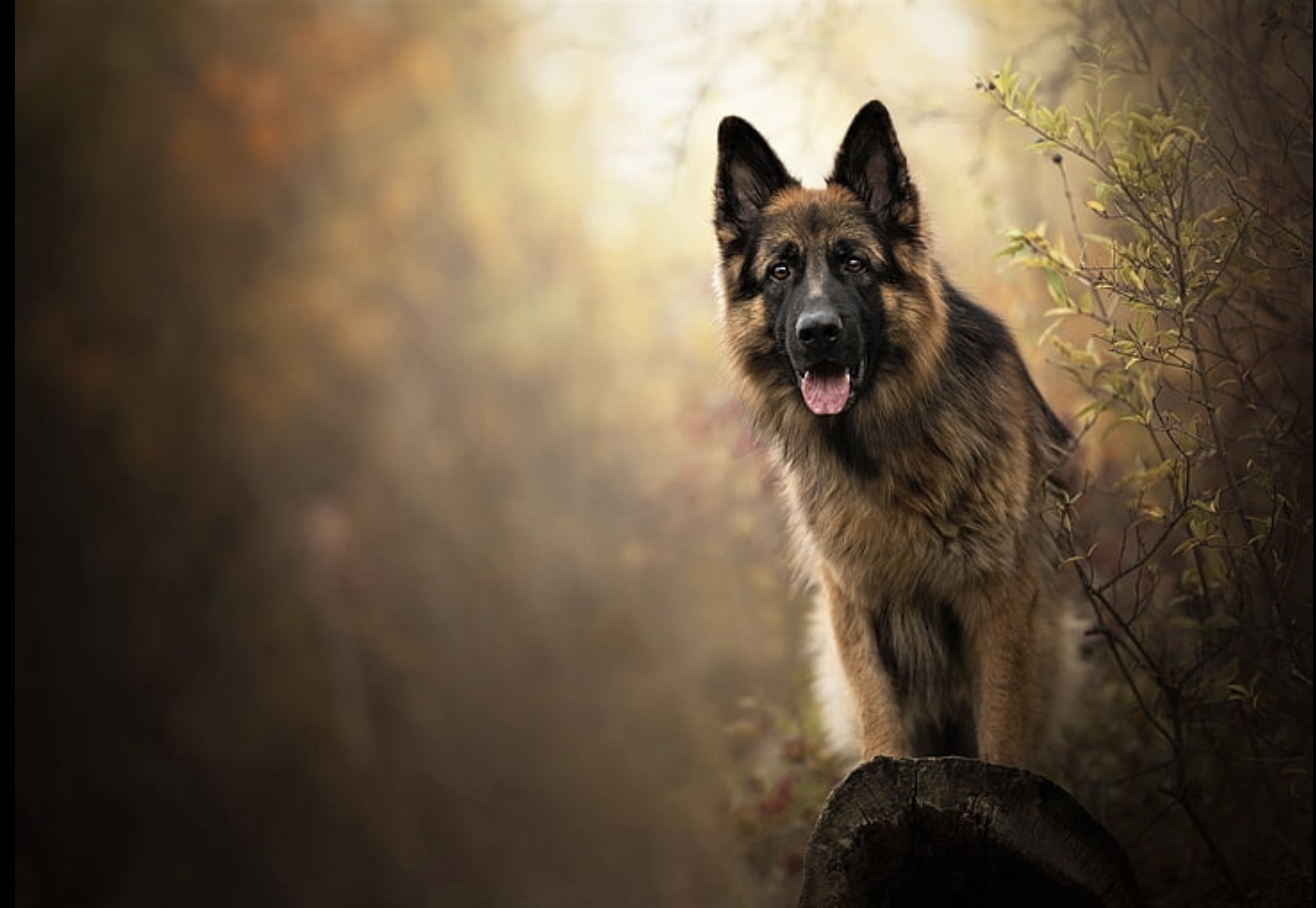 Imagem de apresentação da empresa