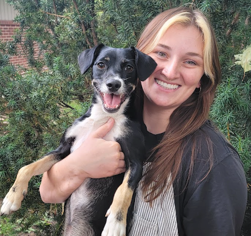 Imagem do fornecedor