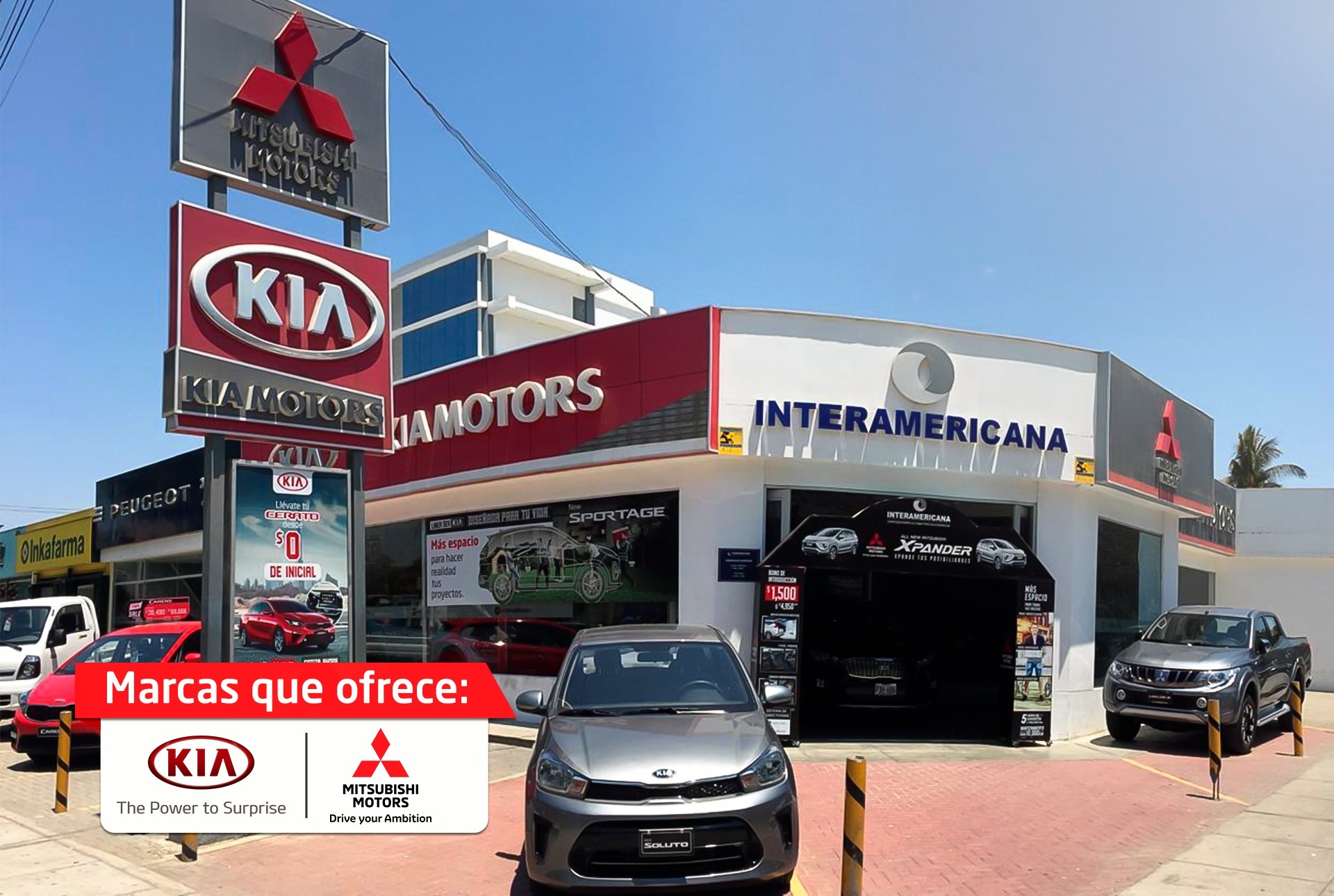 Imagem do fornecedor