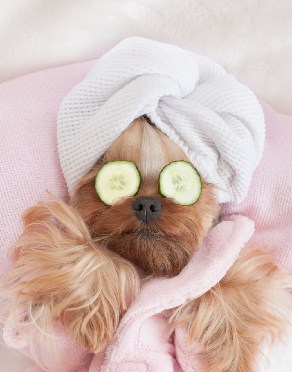 Imagem de apresentação da empresa