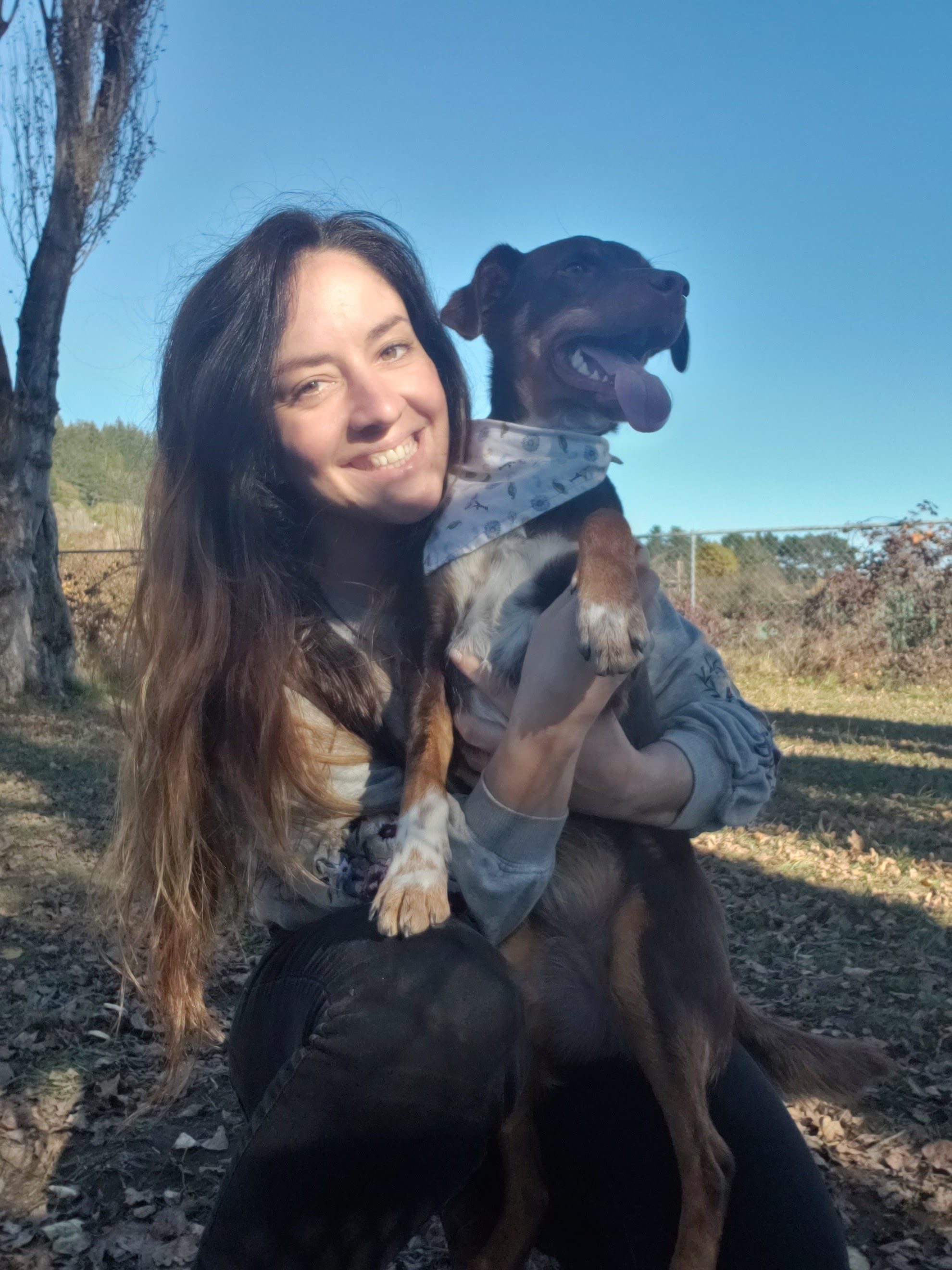 Imagem do fornecedor